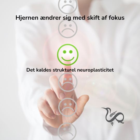 Neuroplasticitet - Hjernen ændrer sig med skift af fokus