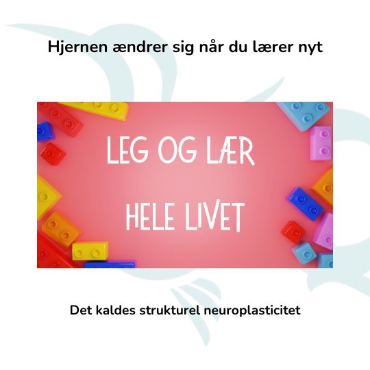 Neuroplasticitet - Hjernen ændrer sig når du lærer nyt