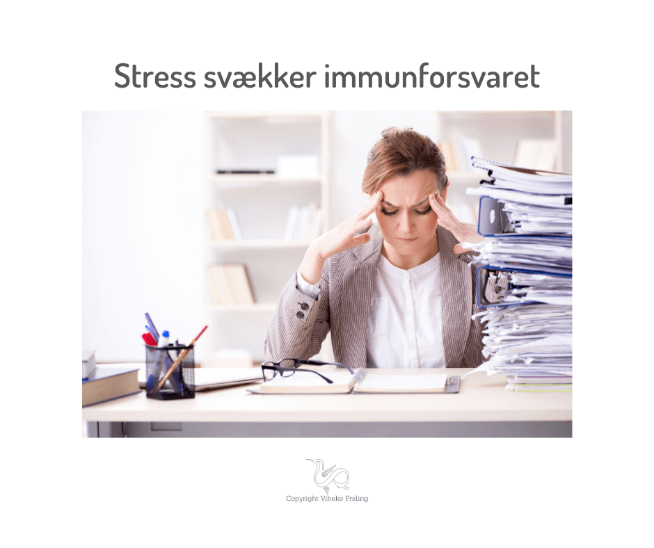 Immunforsvaret-stress