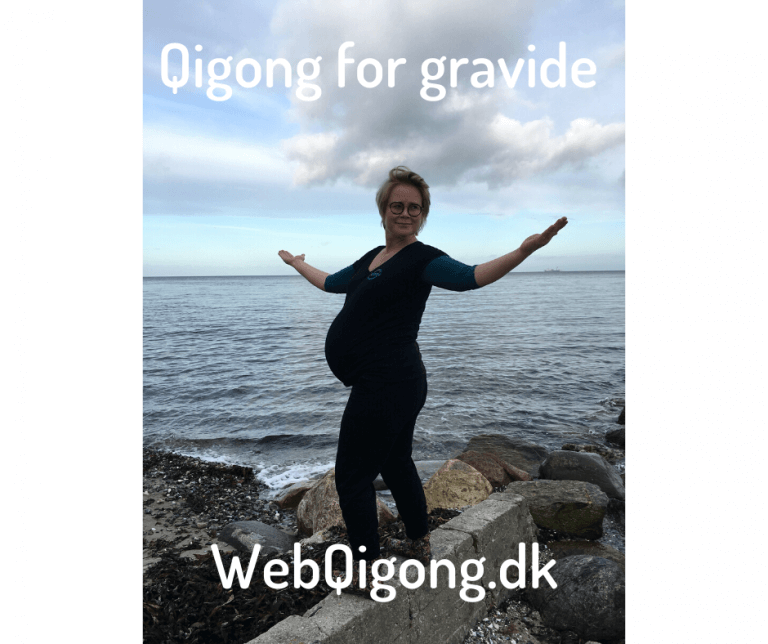 gravid-qigong webqigong