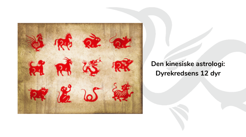 Dyrekredsens kinesisk astrologi - Trædragens år