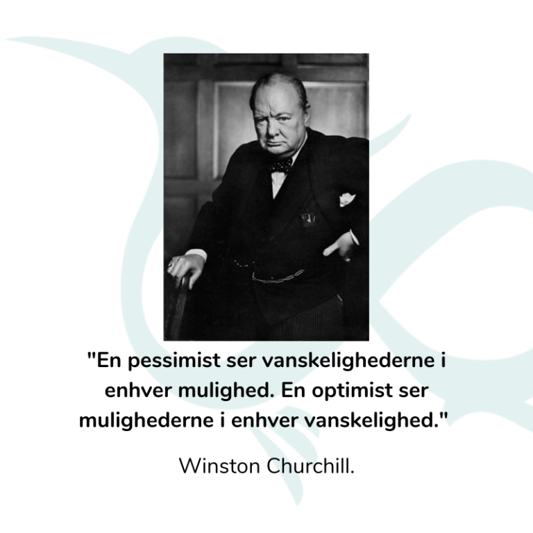 Trædragens år - optimistisk som Winston Churchill