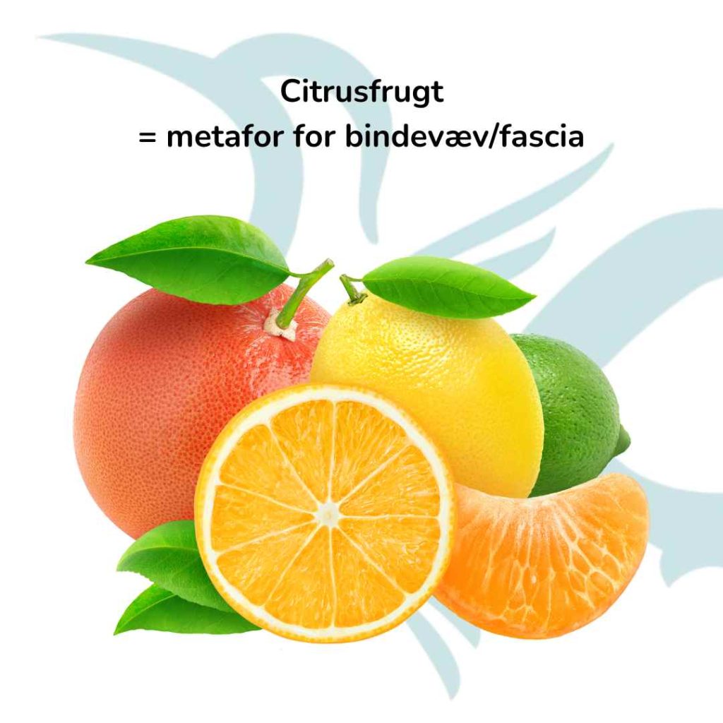 Skuldersmerter - Citrusfrugt er metafor for bindevæv:fascia