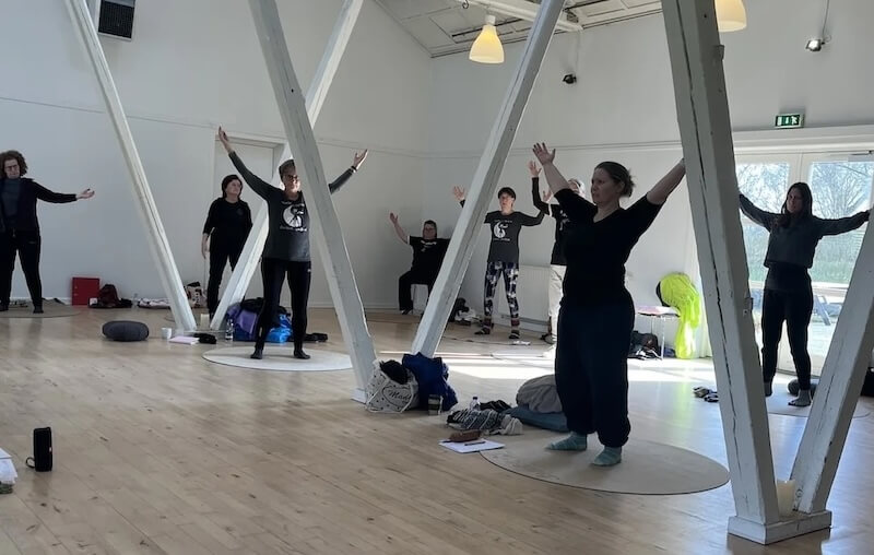 Medicinsk Qigong - Qigong Practitioner - udfører Taichi Qigong Shibashi set 1