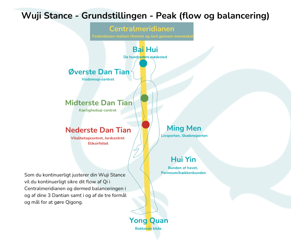 Medicinsk Qigong og Wuji og flow af Qi tekst