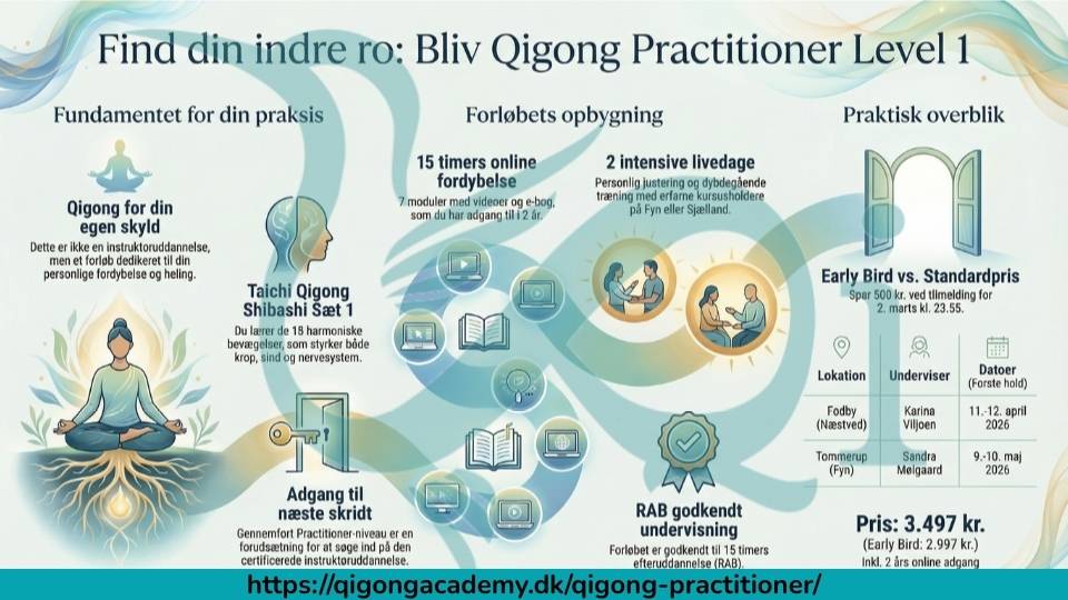 Qigong Practitioner - indhold