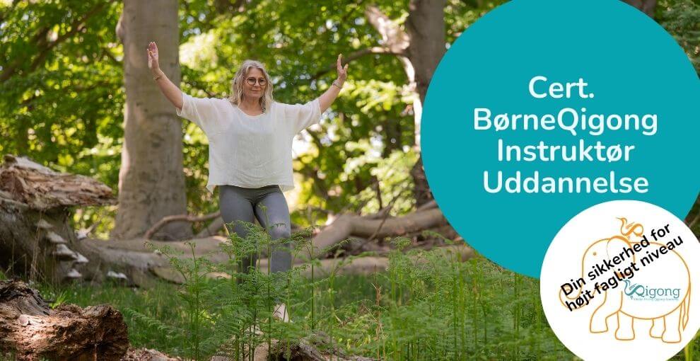 Cert. BørneQigonginstruktøruddannelse cover-facilitator for livskraft og livsglæde