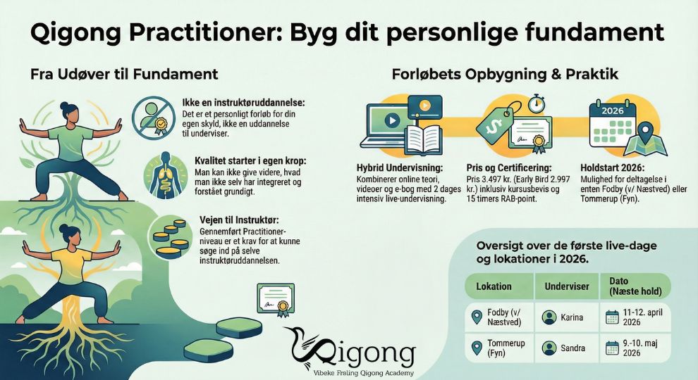 Qigong Practitioner - enkelt overblik - https://qigongacademy.dk/qigong-practitioner/