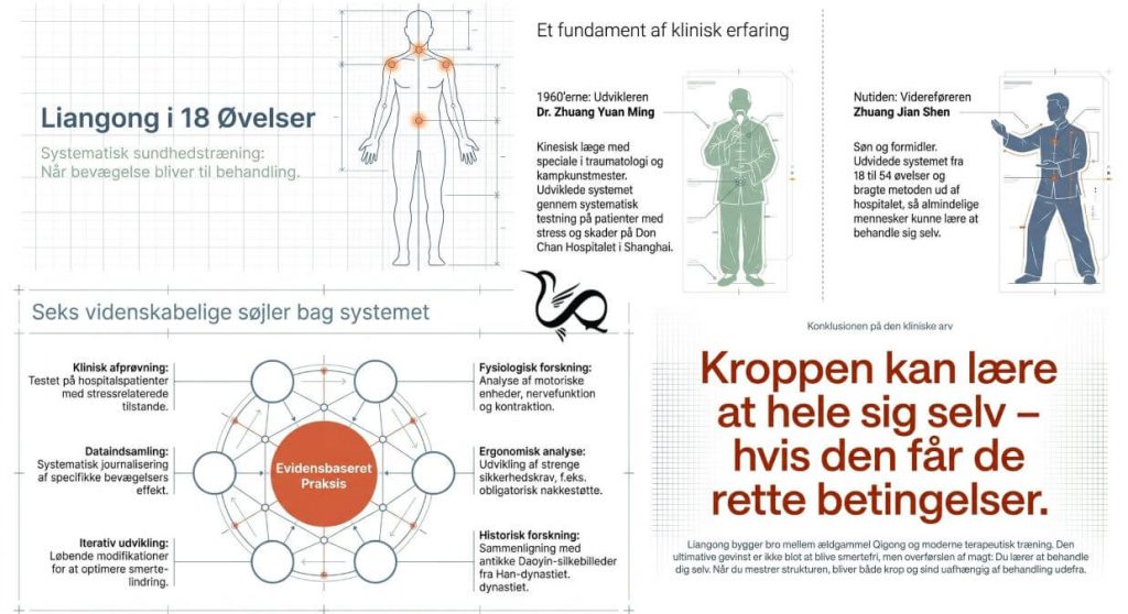 Efteruddannelse i Liangong Shibafa i CQI-VFQA