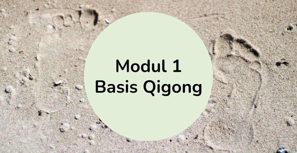 certificeret Qigonginstruktøruddannelse - Moduler - Modul 1 Basis Qigong