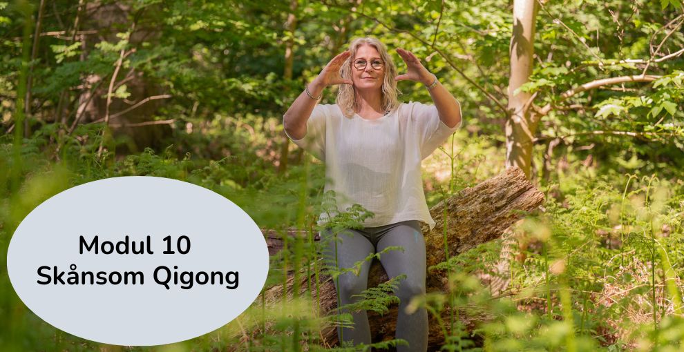 certificeret Qigonginstruktøruddannelse - Moduler - Modul 10 - Skånsom Qigong