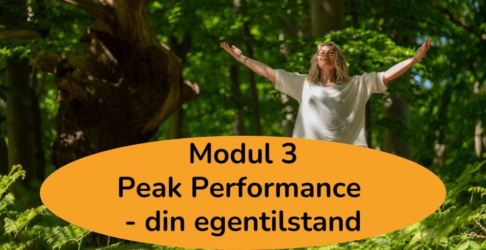 certificeret Qigonginstruktøruddannelse - Moduler - Modul 3 - Peak performance - din egentilstand