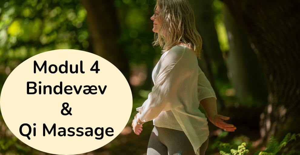 certificeret Qigonginstruktøruddannelse - Moduler - Modul 4 Fascia _ Bindevæv & Qi Massage