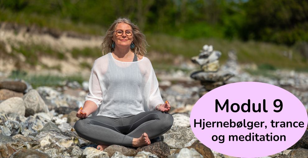 certificeret Qigonginstruktøruddannelse - Moduler - Modul 9 Hjernebølger, trance og meditation