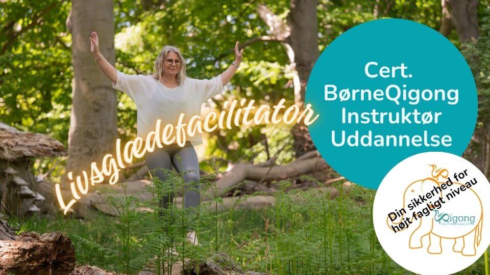 uddannelse i børneQigong - videreuddannelse i Vibeke Fraling Qigong Academy