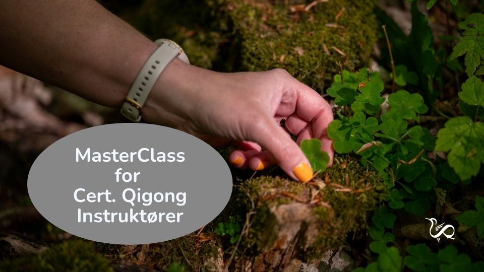 uddannelse - masterclass