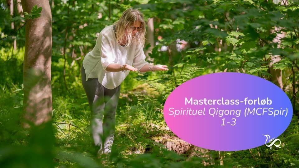 uddannelse i spirituel Qigong i Kolibri Qigong ved Vibeke Fraling Qigong Academy