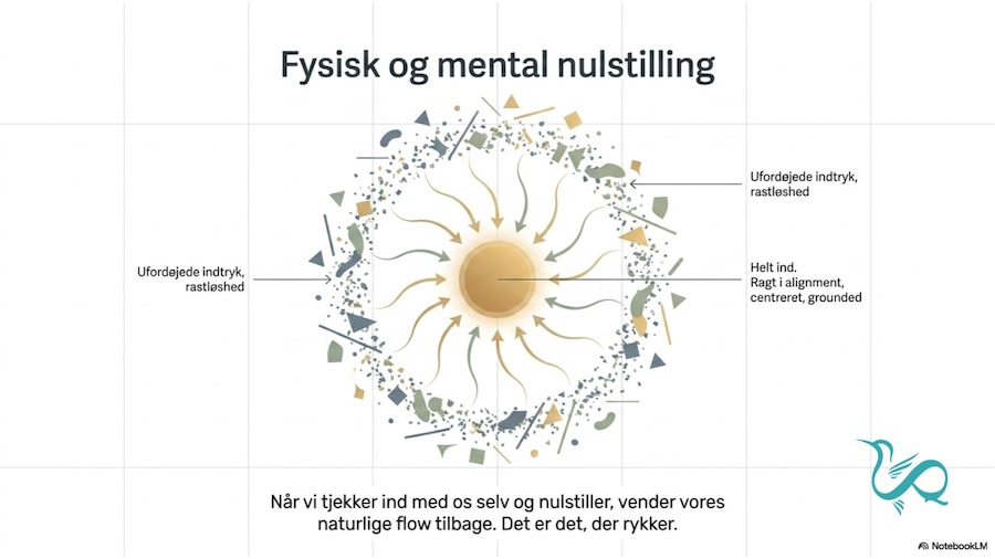 Mental Nulstilling - At tjekke ind med sig selv - Vibeke Fraling