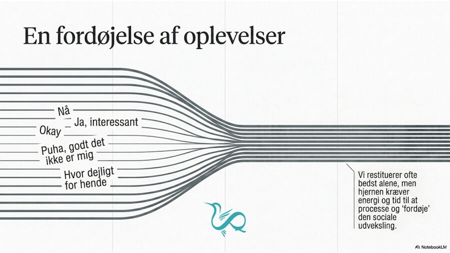 Mental Nulstilling - en fordøjelse af oplevelser - Vibeke Fraling (1)
