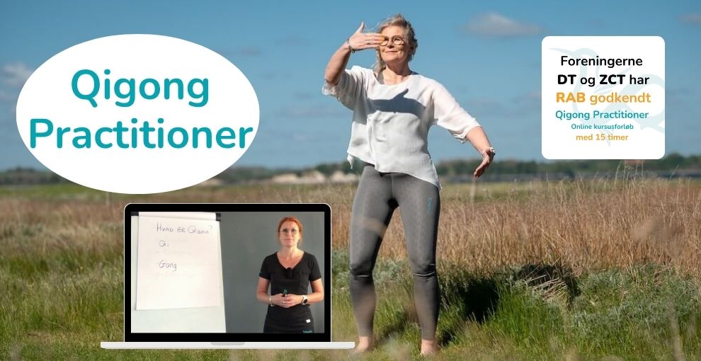 Qigong Practitioner