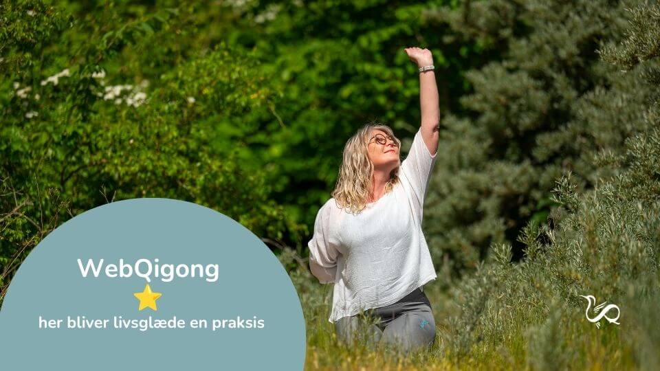 Uddannelse efter fast praksis - fx i WebQigong